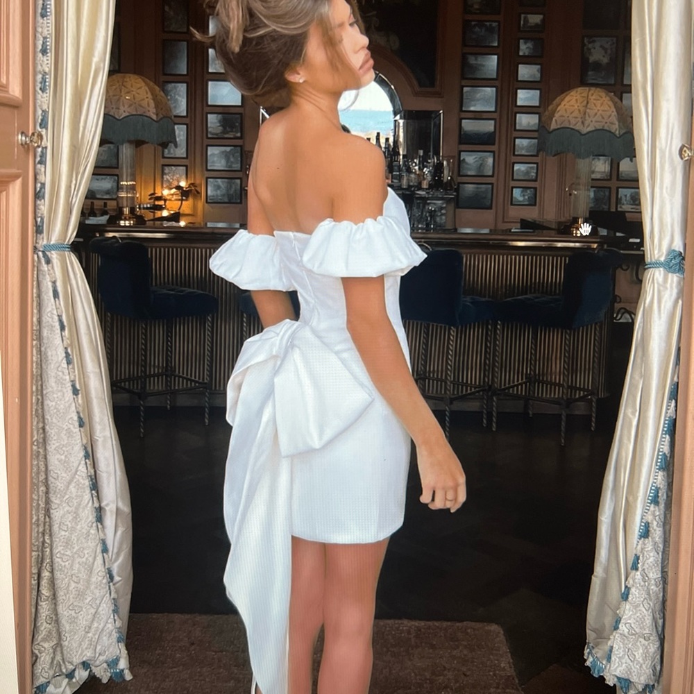 Nadine Merabi Emilee Dress W/Bow and Sleeves